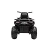 Quad electric negru XL
