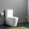 Combinatie WC Paulo fara margine cu evacuare inferioara/posterioara