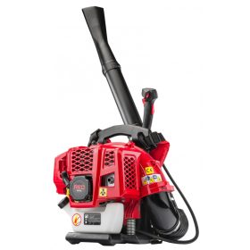 Suflanta de frunze/freza de zapada pe benzina 3,8 CP RTODL0059