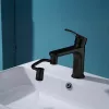 Prelungitor flexibil pivotant pentru robinet, negru