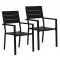 Set de 2 scaune de grădină cu cadru metalic și scaun din plastic negru
