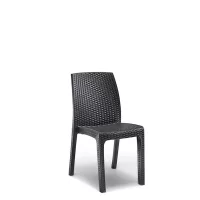 Scaun de grădină Leziter