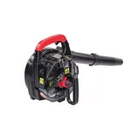 Aspirator de frunze Red Technic, suflantă