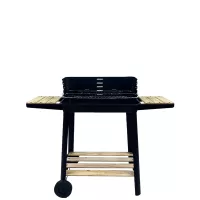 Grătar de grădină Leziter